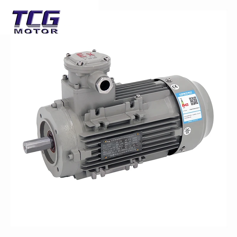 Ex d IIC T4 Motor Kalis Letupan B14 Bebibir Kecil