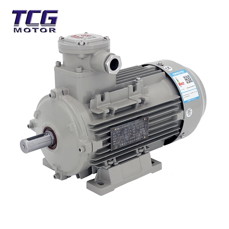 Ex d IIC T4 Pelekap Motor B3 Kalis Letupan