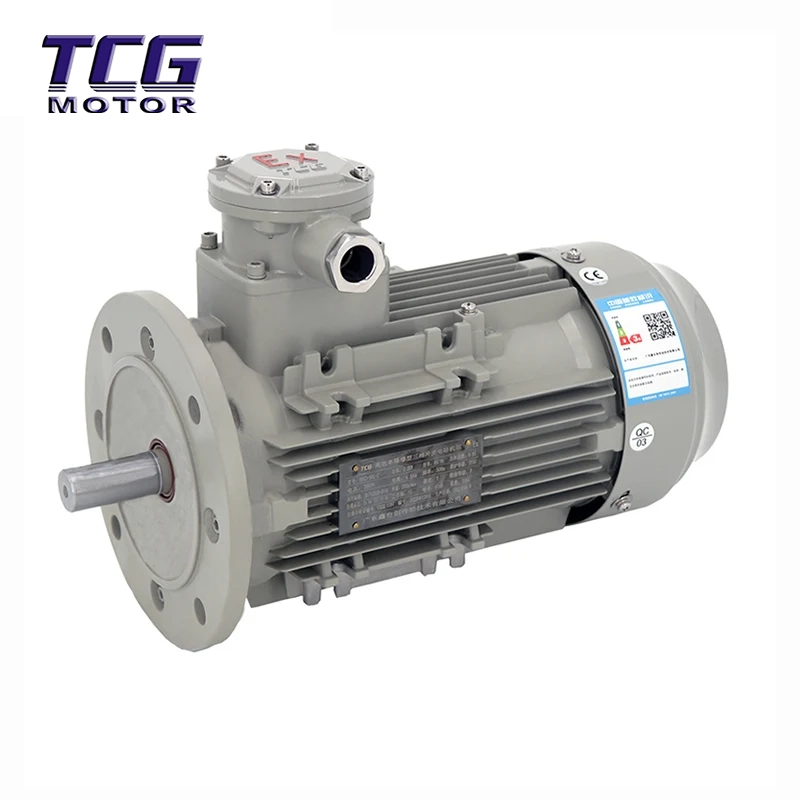 Ex d IIC T4 Motor Kalis Letupan B5 Dipasang Bebibir