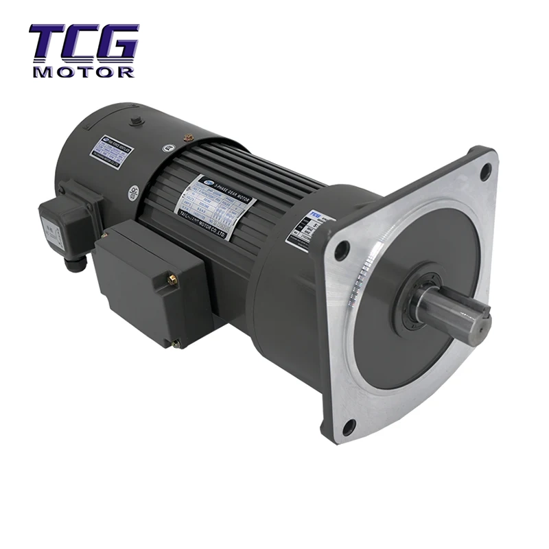 TCV Vertical Inverter Duty Brek Gear Motor